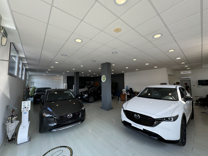dealer showroom